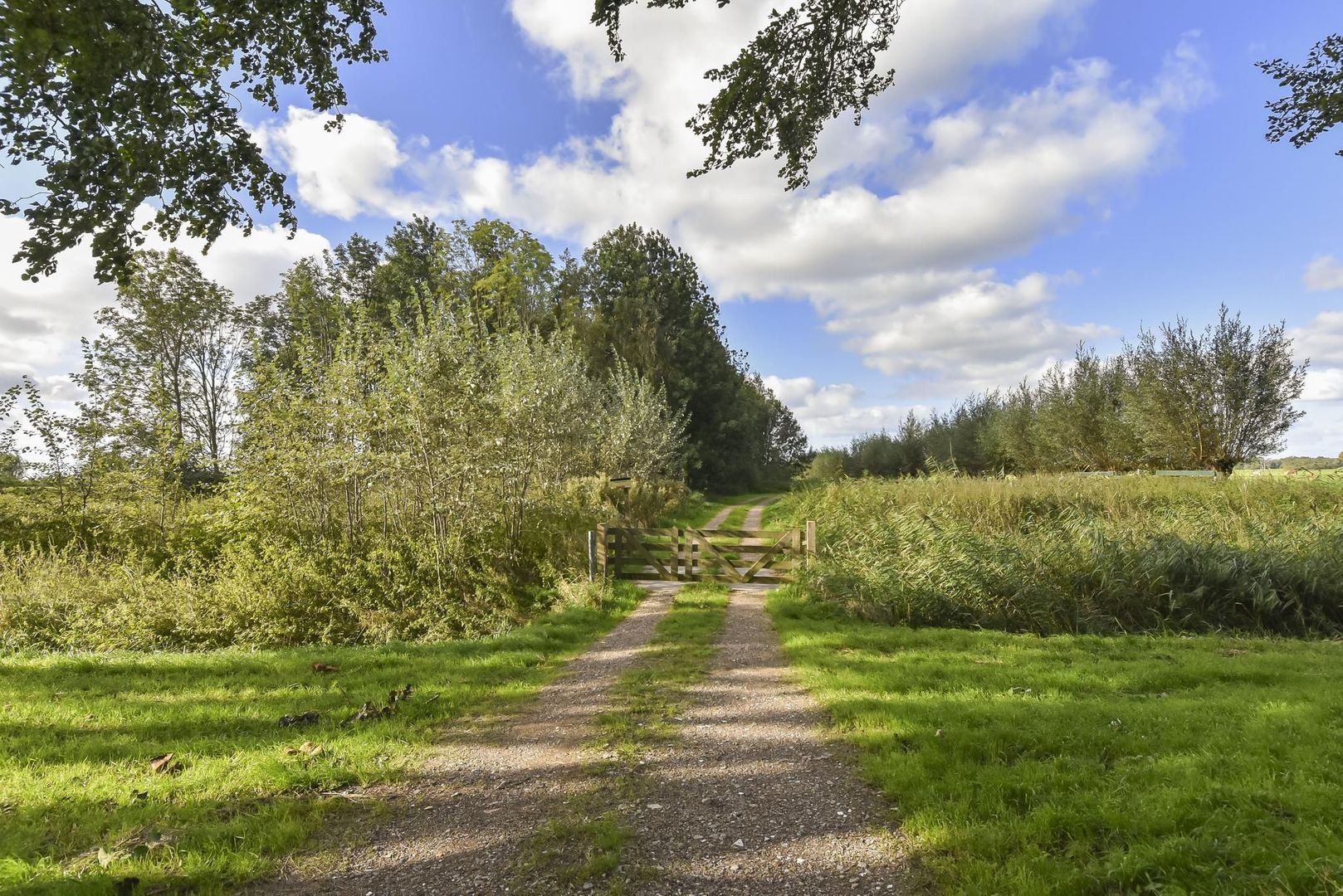 Zwetkade 8, Pijnacker foto-70