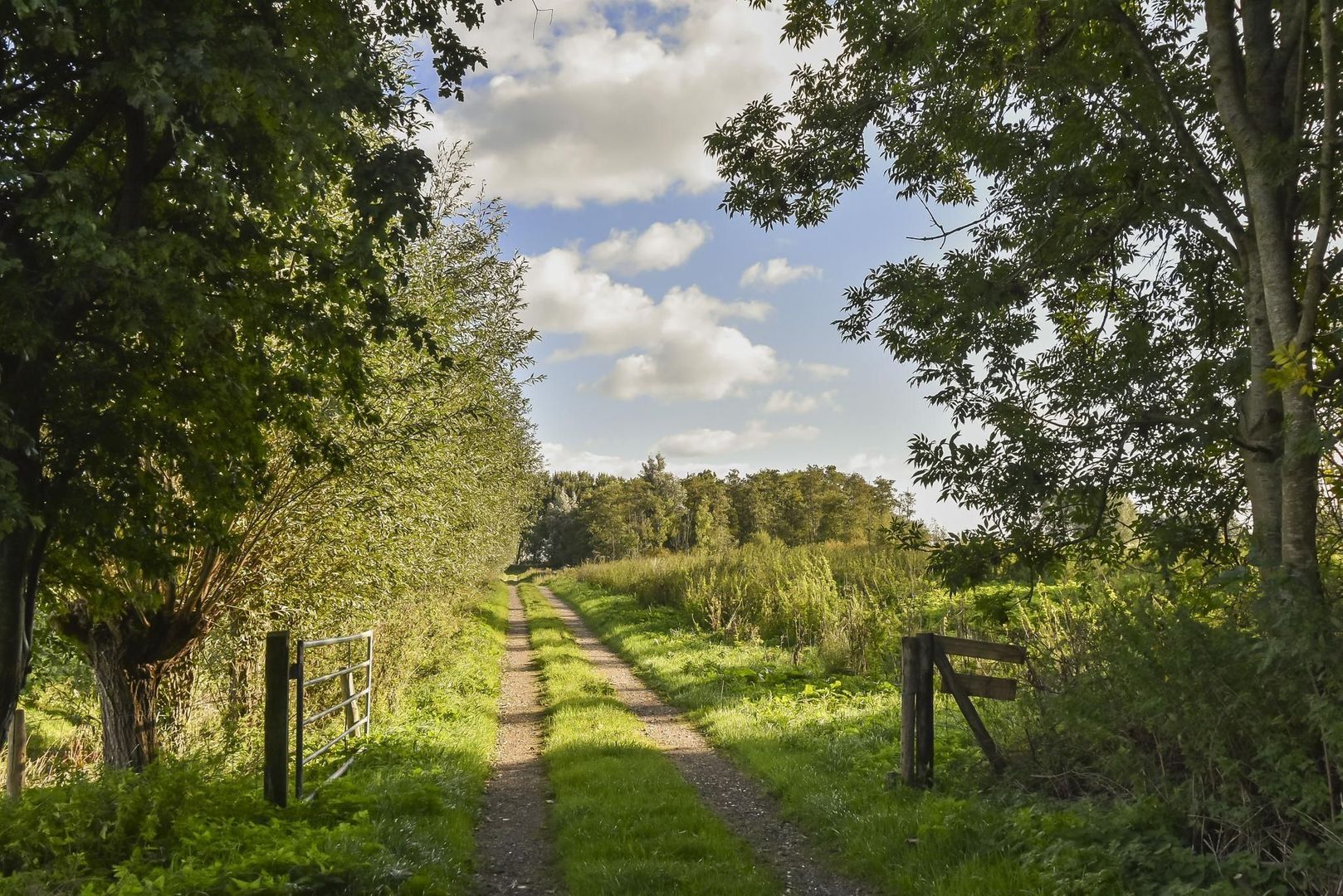 Zwetkade 8, Pijnacker foto-67