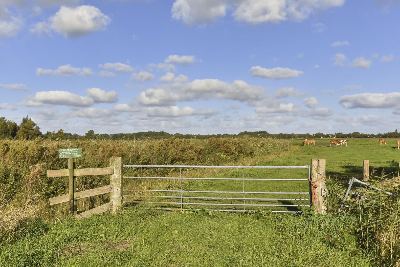 Zwetkade 8, Pijnacker foto-68