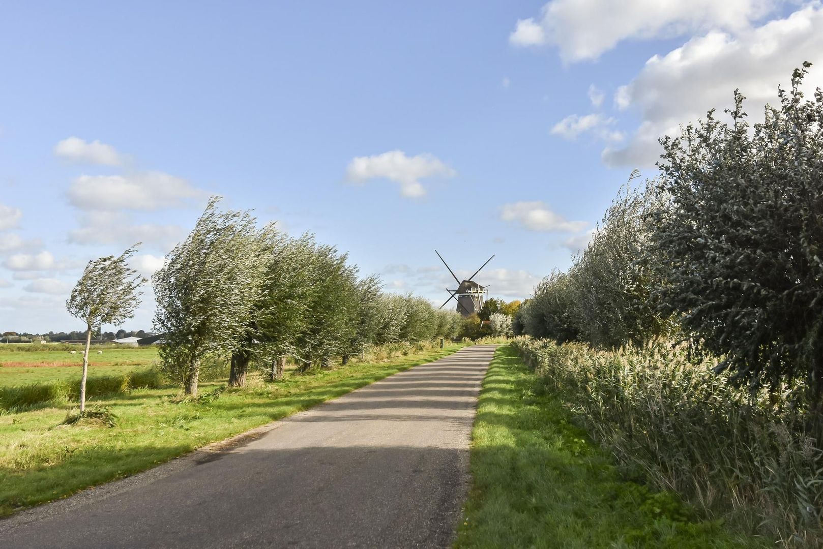 Zwetkade 8, Pijnacker foto-72