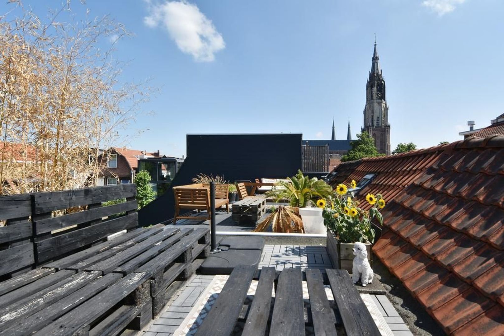 Pluympot 18, Delft foto-30