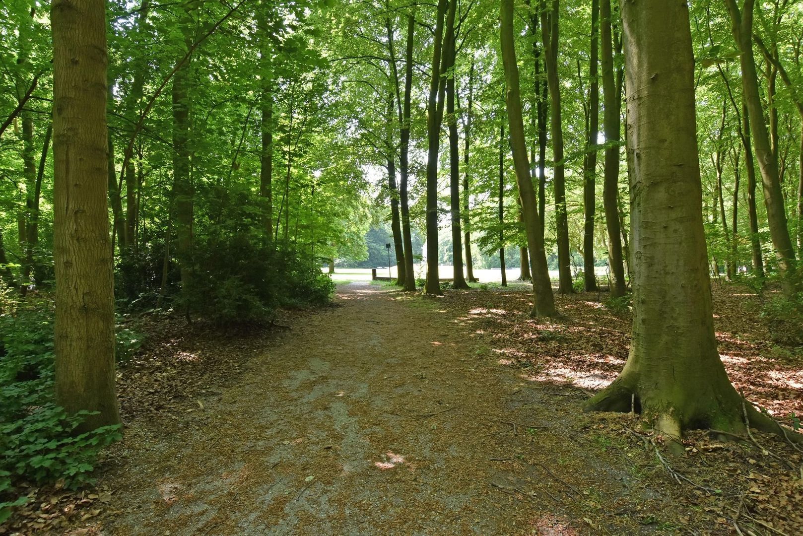Burgemeester Elsenlaan 97, Rijswijk foto-21