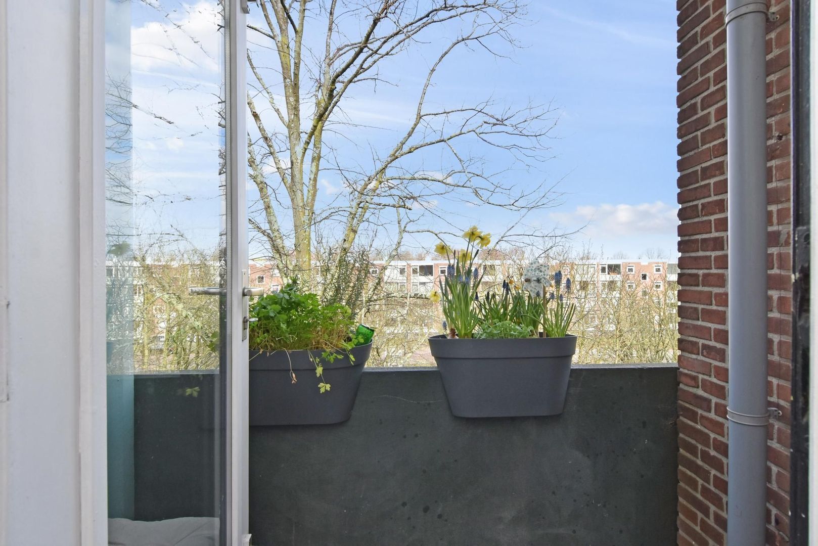 Paulus Buijsstraat 49, Delft foto-17