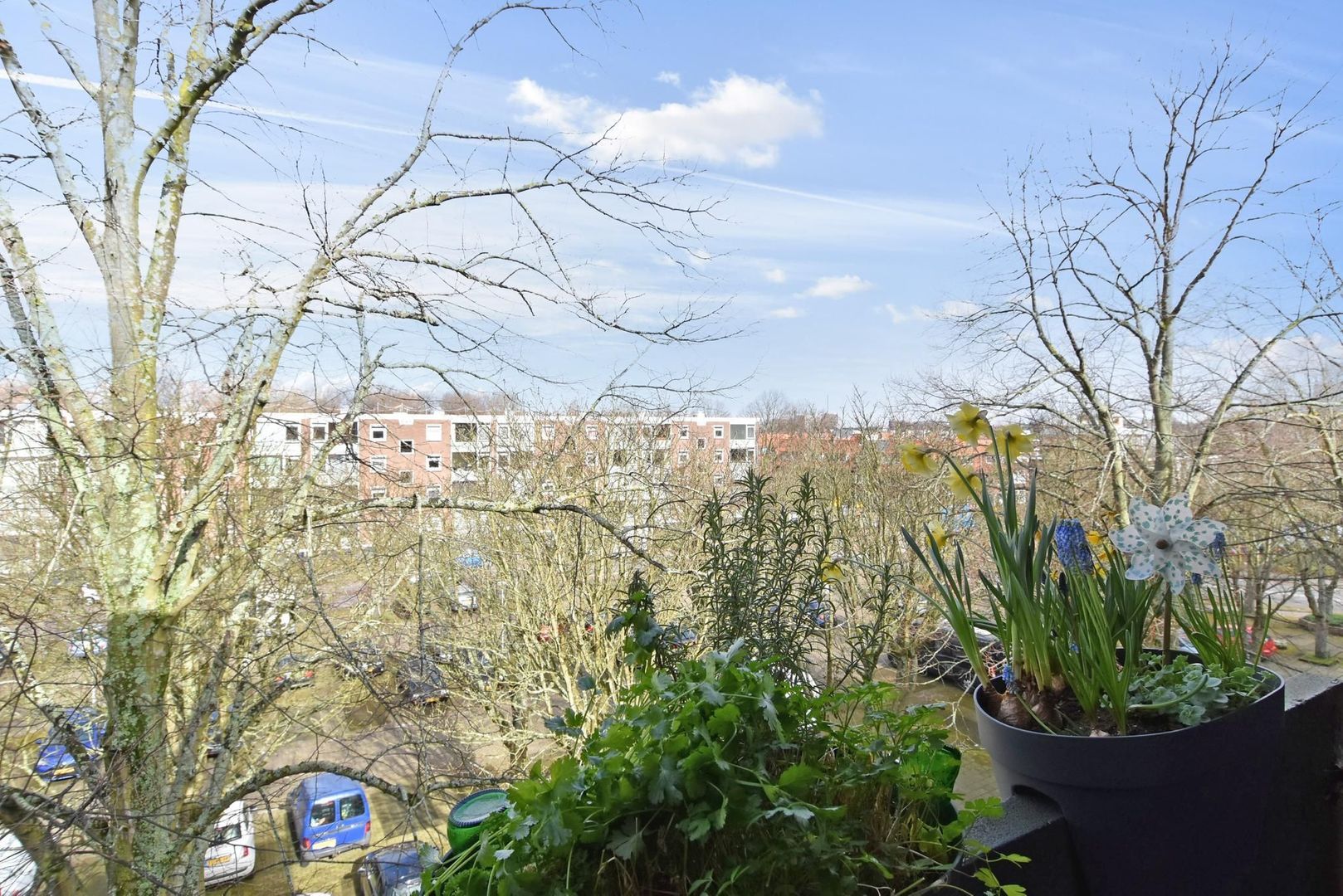 Paulus Buijsstraat 49, Delft foto-18