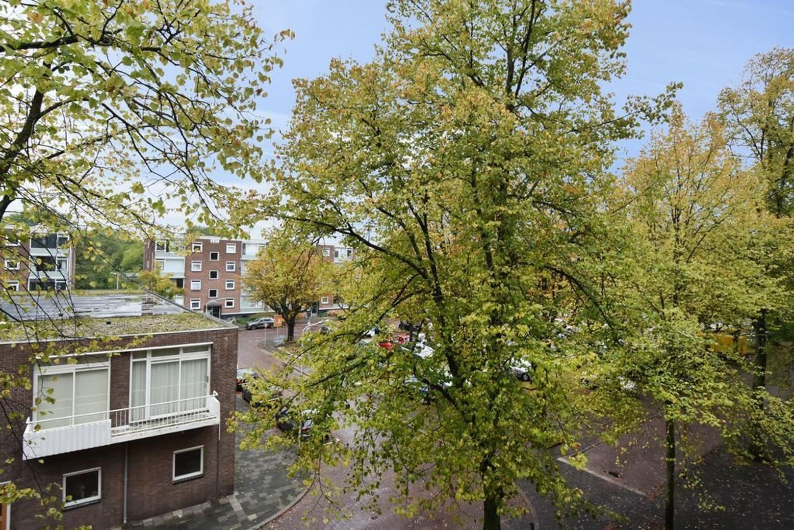Paulus Buijsstraat 81, Delft foto-29