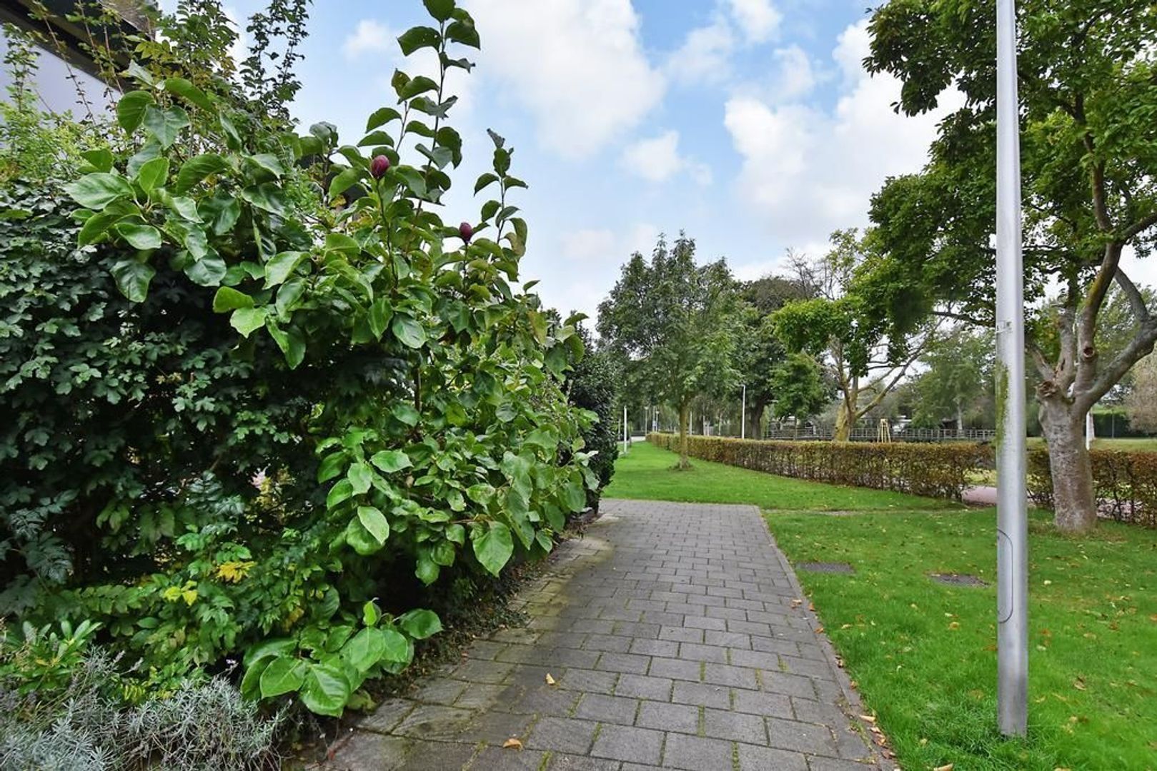 Magnoliadreef 6, Nootdorp foto-2