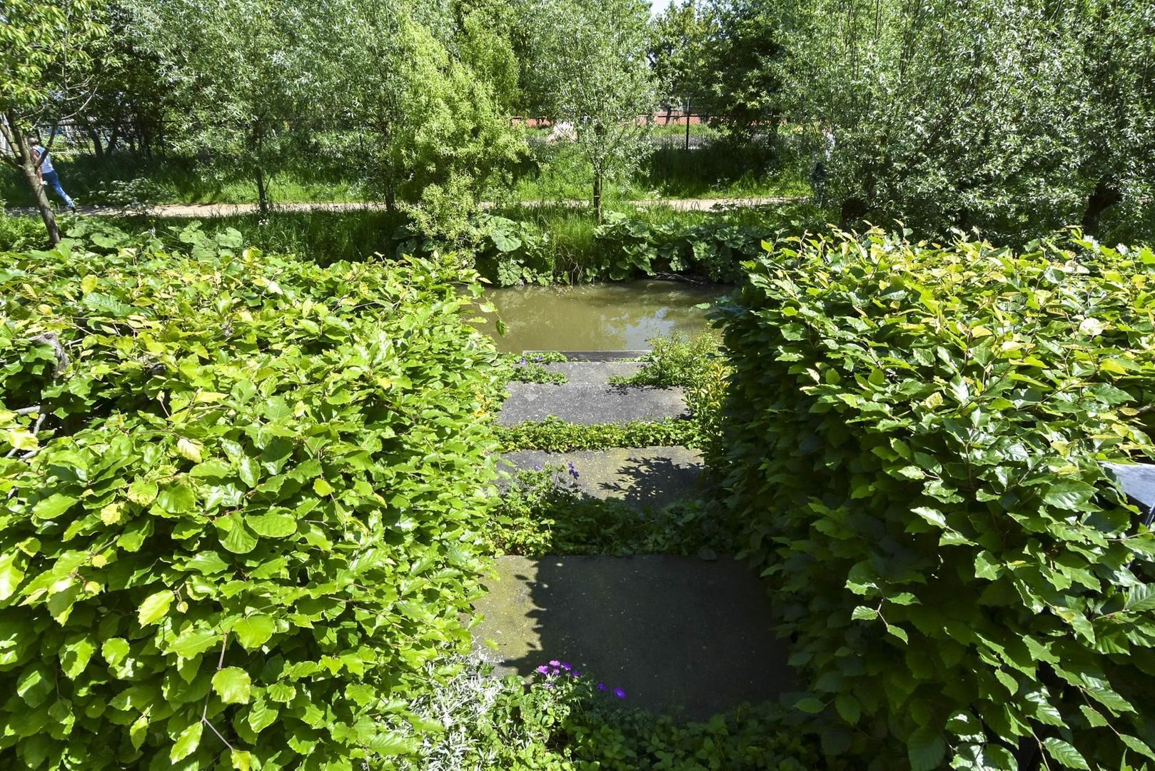 Voordijkshoorn 53, Den Hoorn foto-62