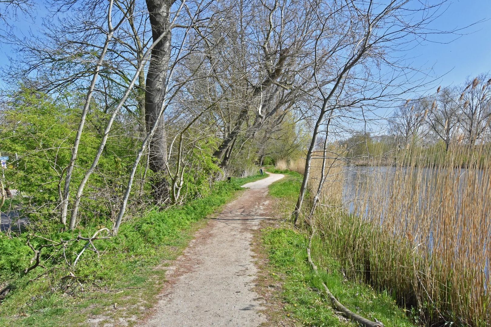 Gentiaan 47, Den Haag foto-55