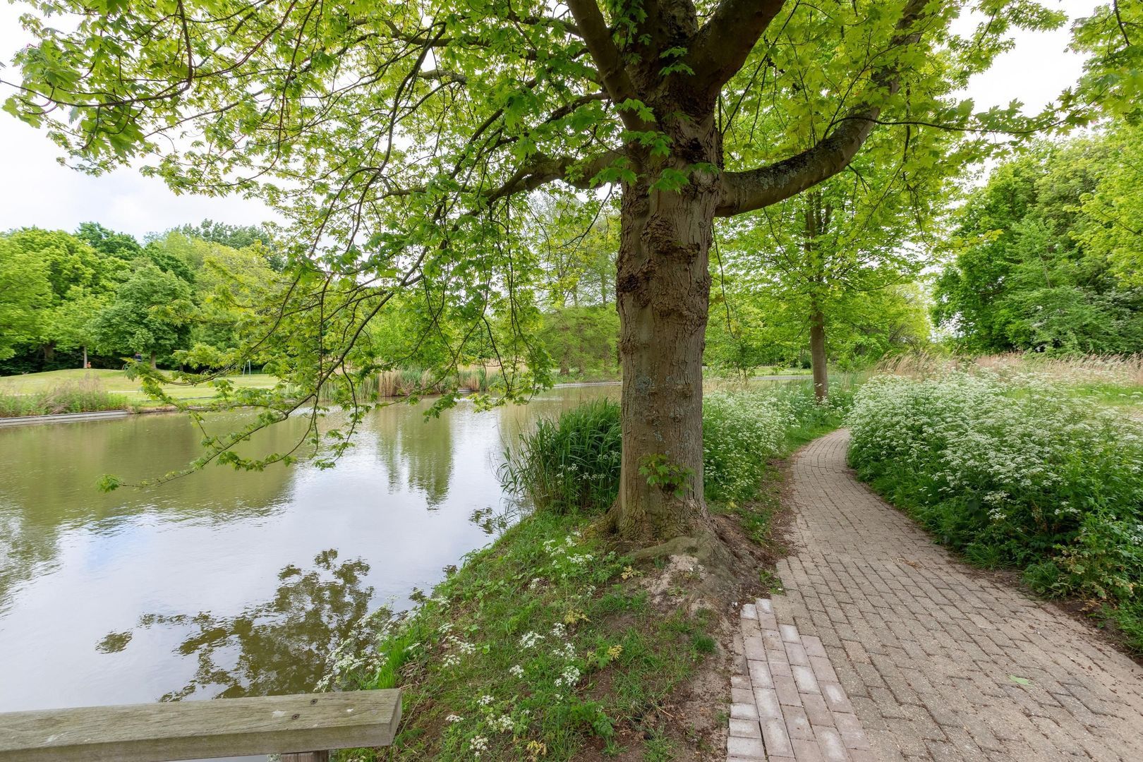 Hof van Zilverlicht 41, Delft foto-43