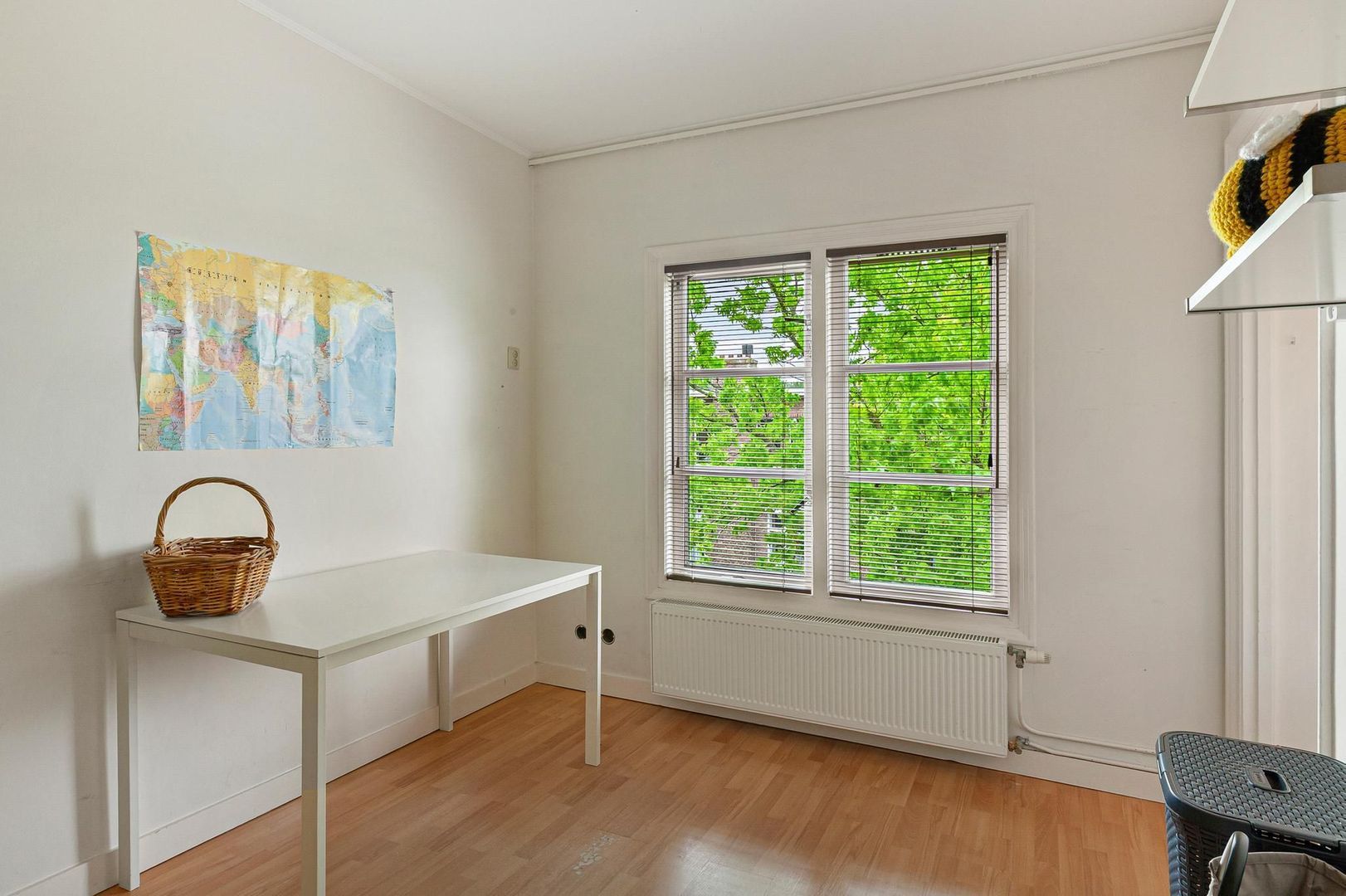 Hugo de Grootstraat 123, Delft foto-33