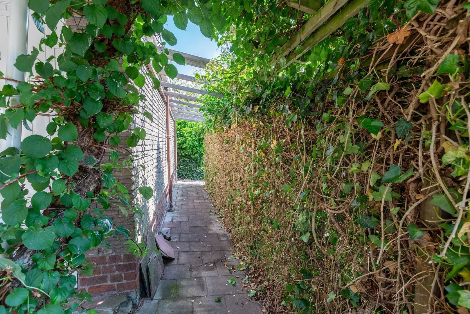 Sint Eustatiusstraat 11, Delft foto-43