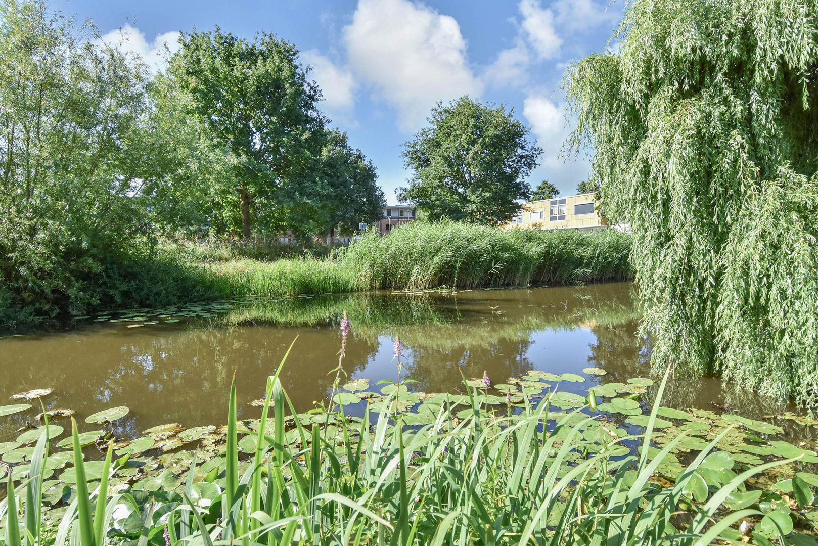 Wielengahof 24, Delft foto-21