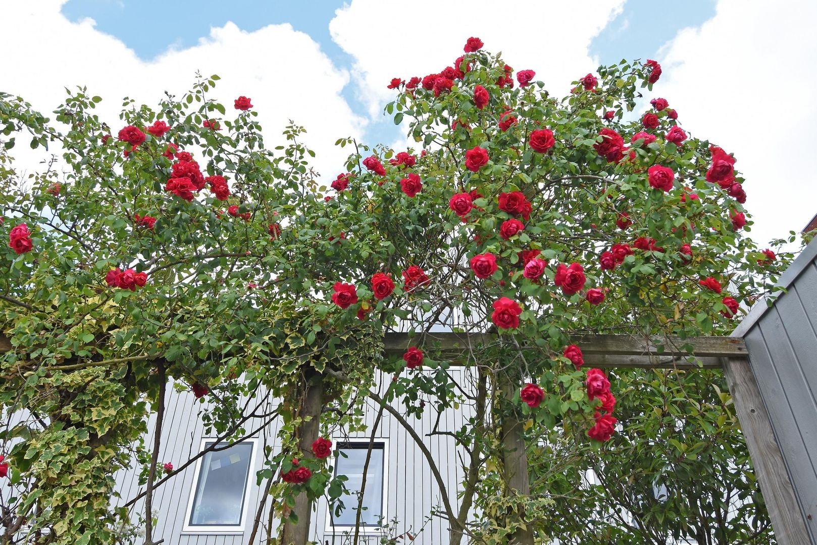 Hoflandendreef 157, Delft foto-17