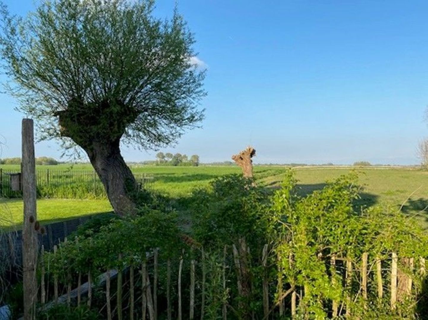 Zouteveenseweg 39, Schipluiden foto-50
