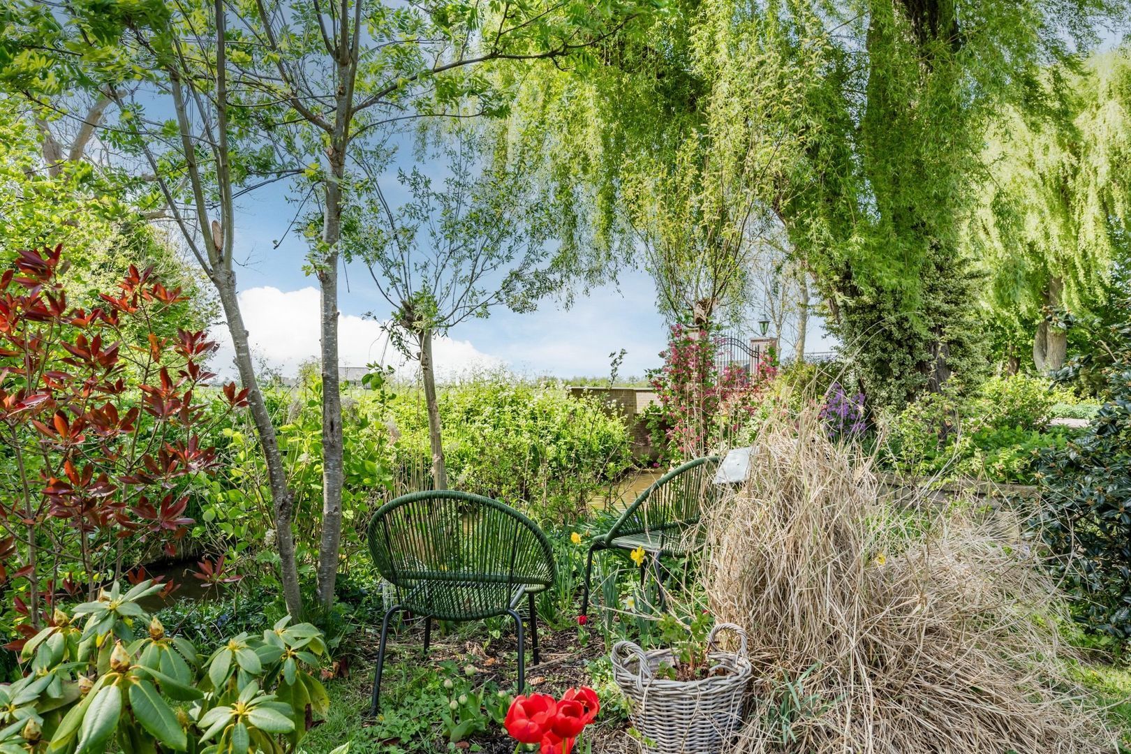 Zouteveenseweg 39, Schipluiden foto-59