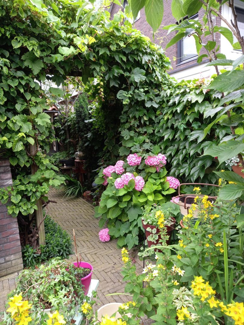 Watermunt 61, Den Haag foto-14