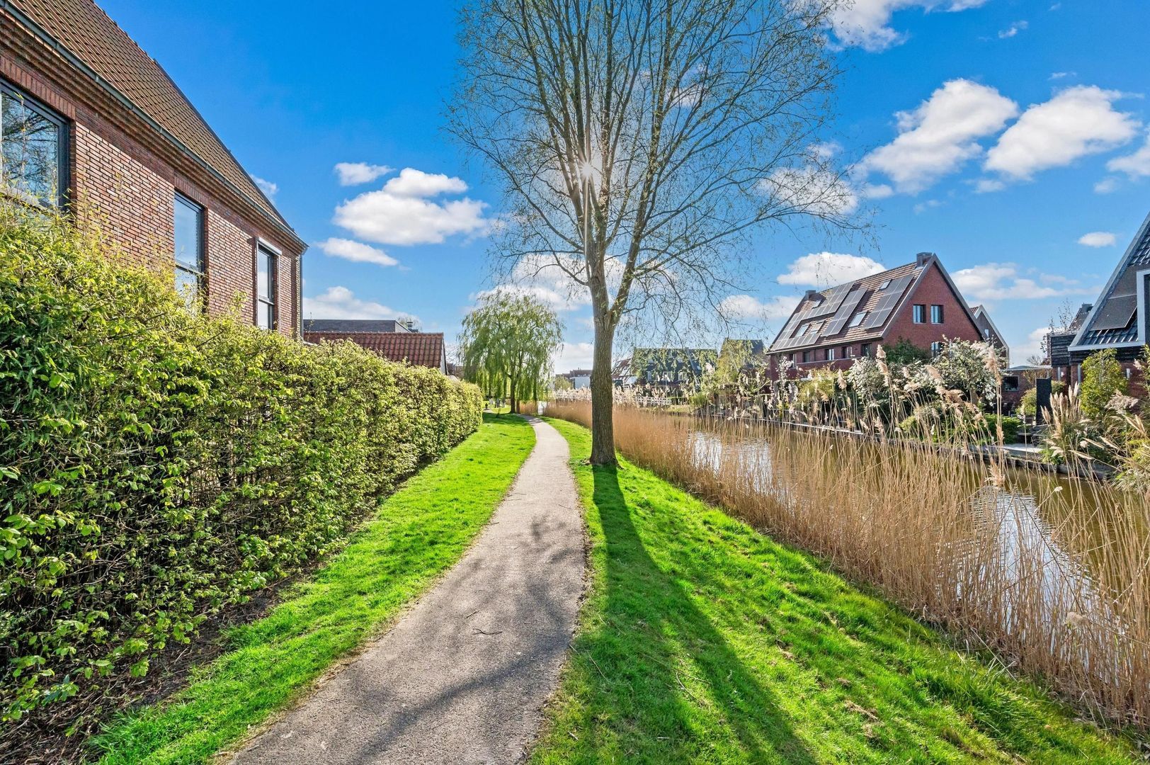 Rietgras 64, Den Haag foto-63