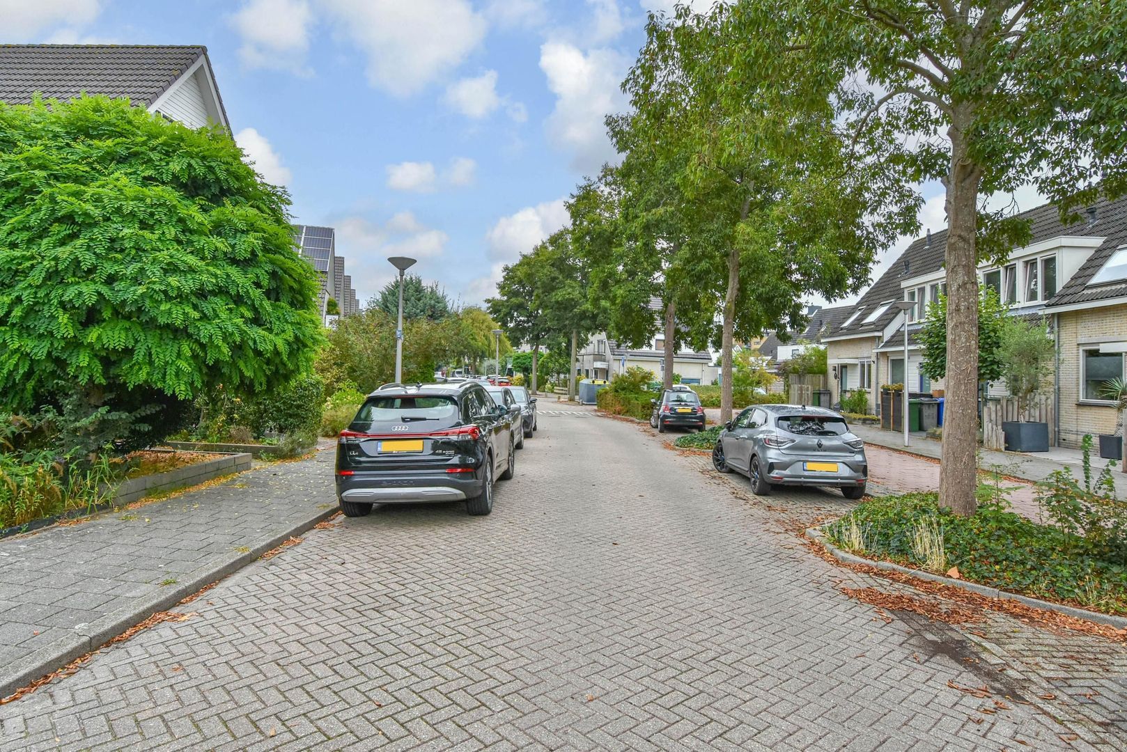 Boomkwekerij 1, Den Hoorn foto-44