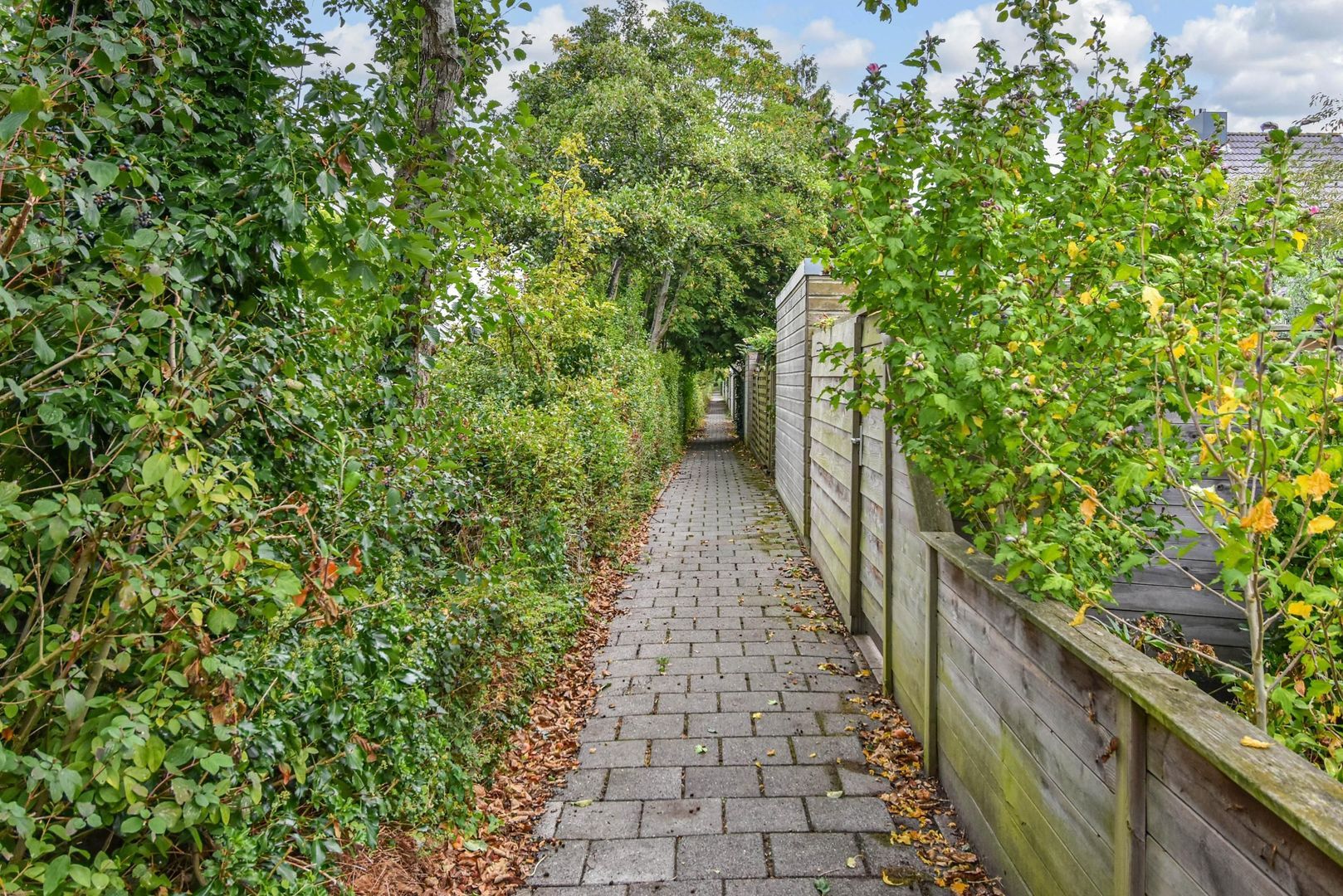 Boomkwekerij 1, Den Hoorn foto-14