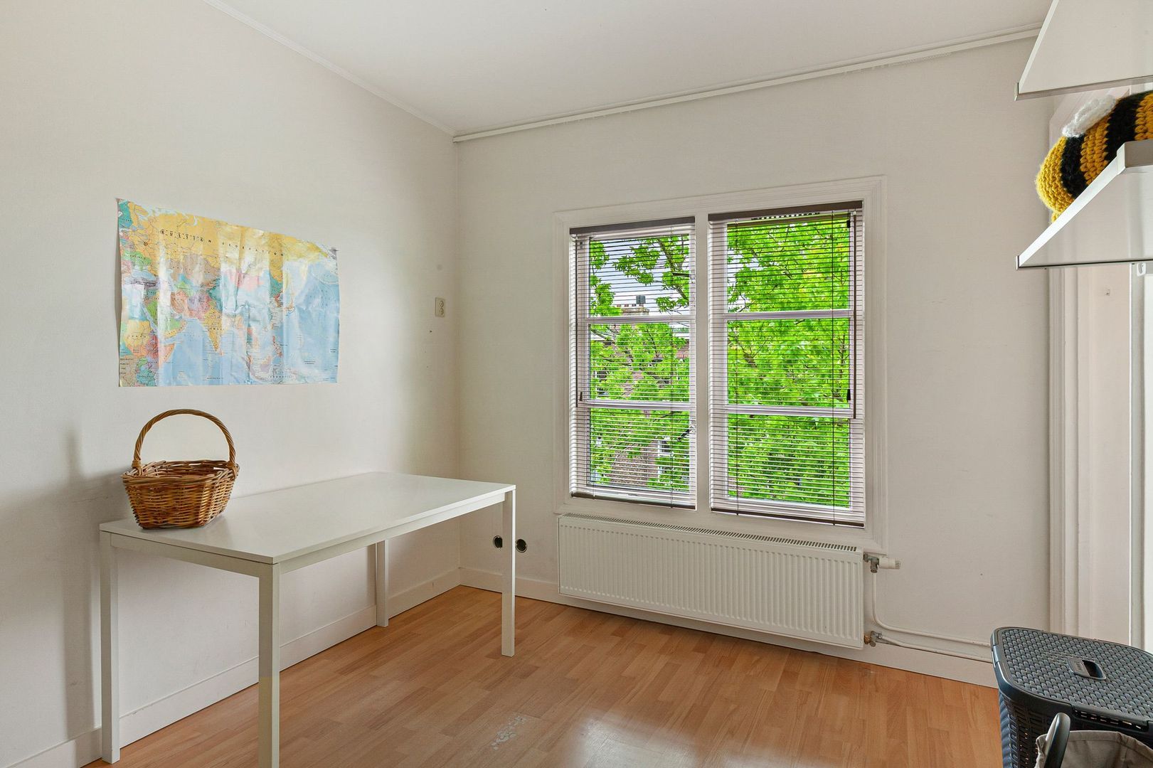 Hugo de Grootstraat 123, Delft foto-33