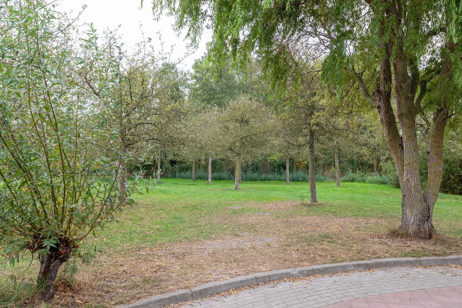 Hollandsche Tuyn 33, Delfgauw foto-44