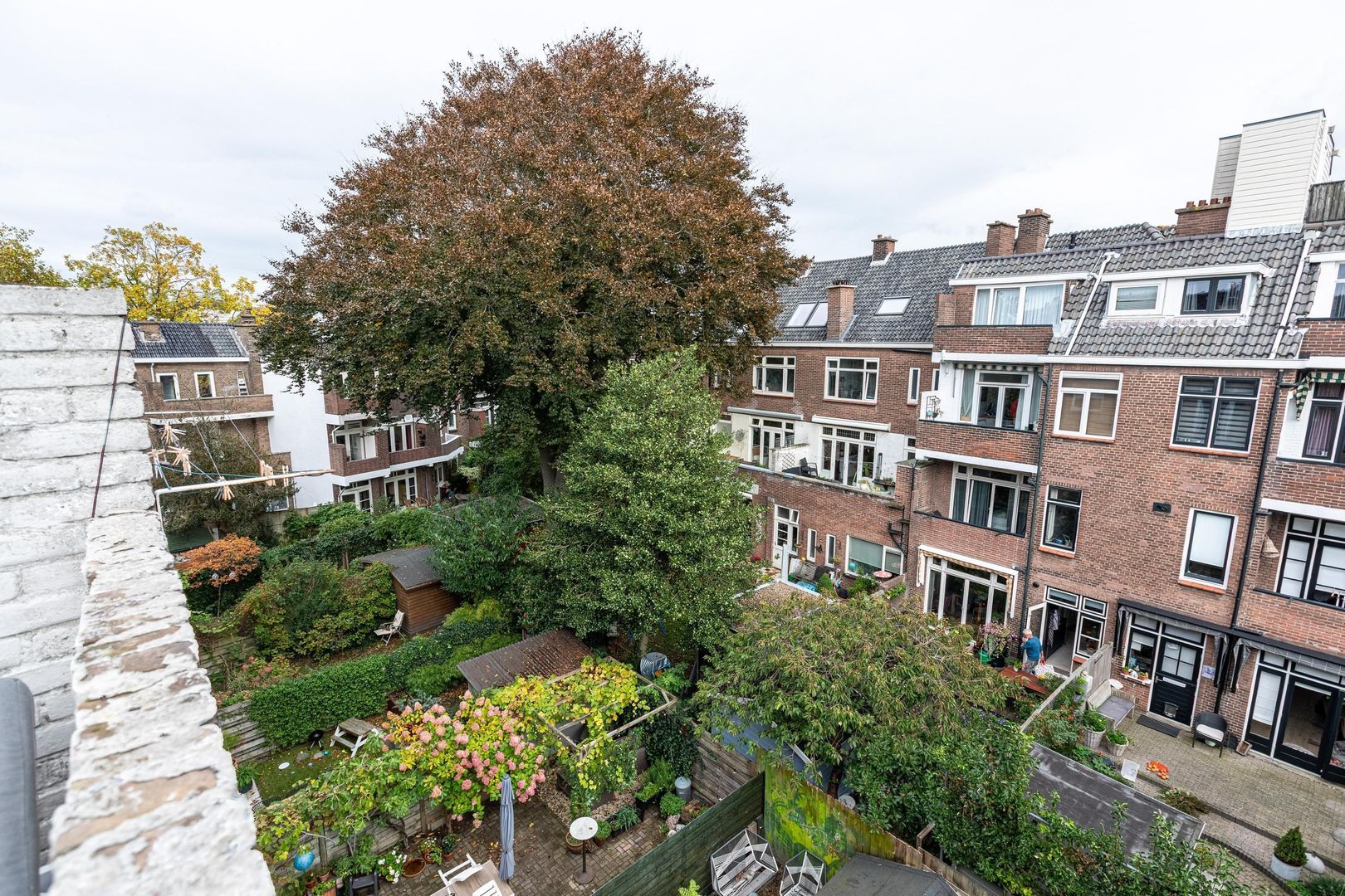 Lijsterbeslaan 117, Rijswijk foto-43
