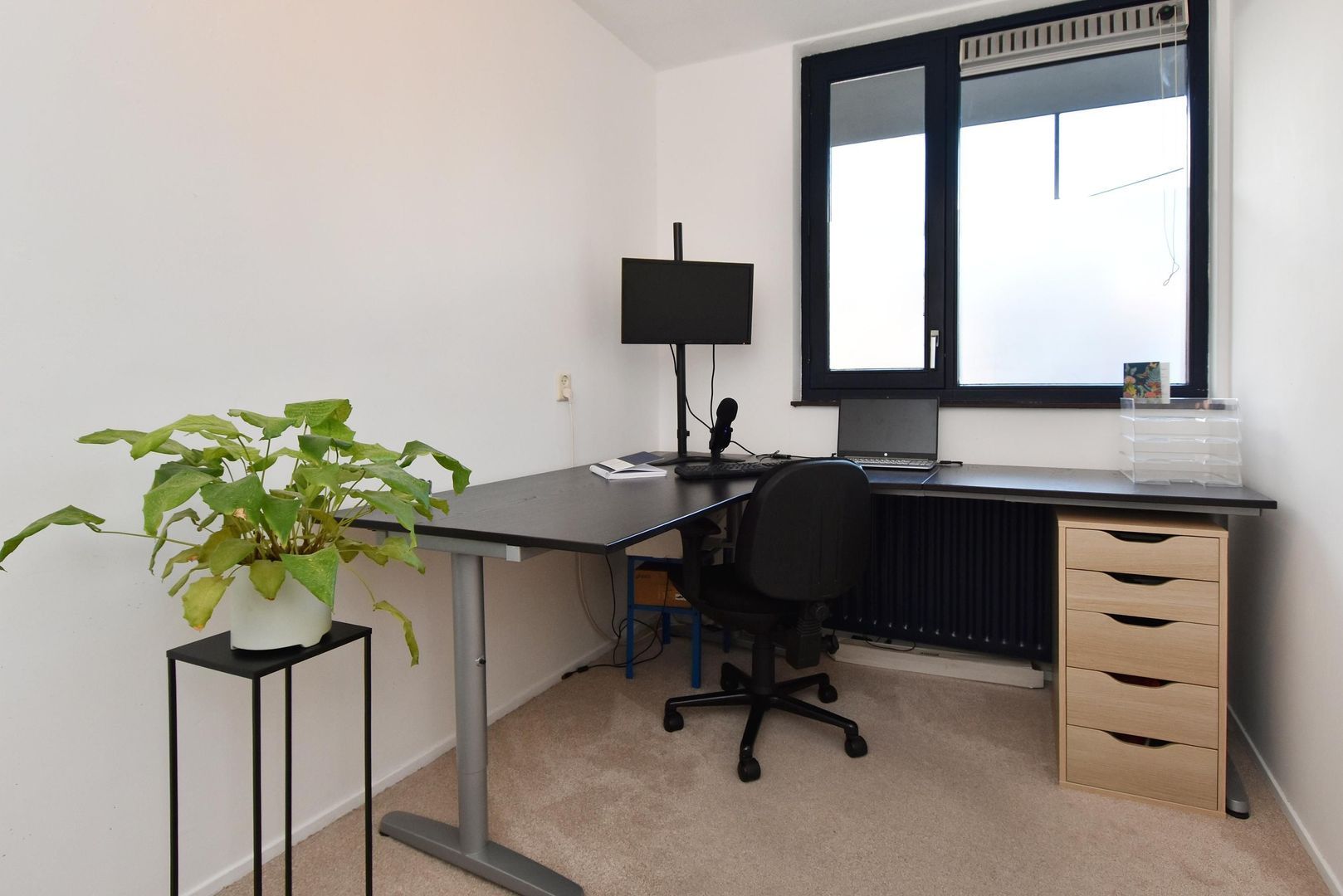 Drogerij 13, Den Hoorn foto-31