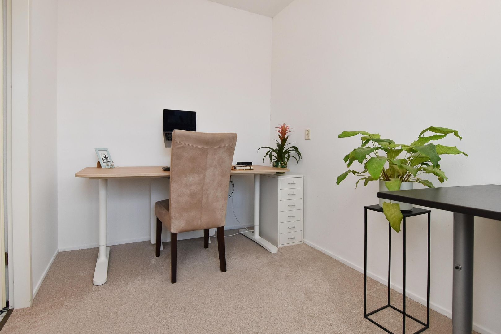 Drogerij 13, Den Hoorn foto-29