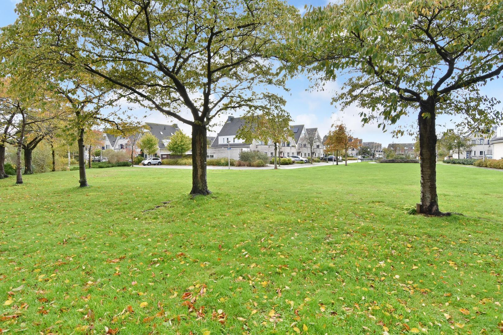 Drogerij 13, Den Hoorn foto-33