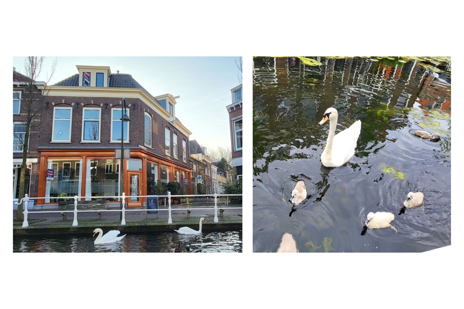 Oosteinde 191, Delft foto-84