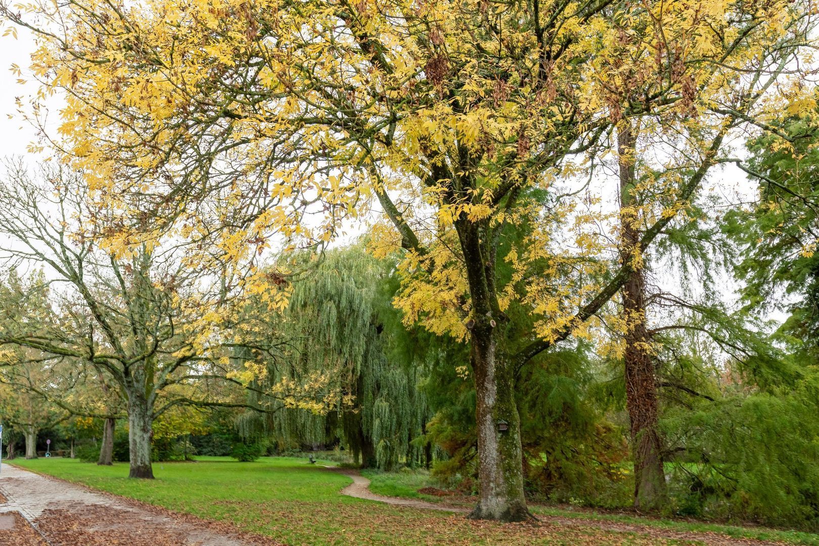 Westplantsoen 126, Delft foto-31