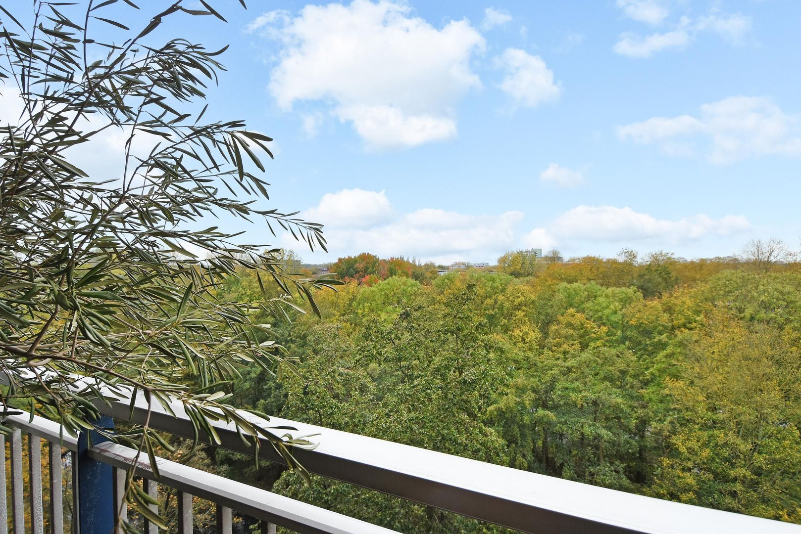 Adama van Scheltemaplein 14, Delft foto-13