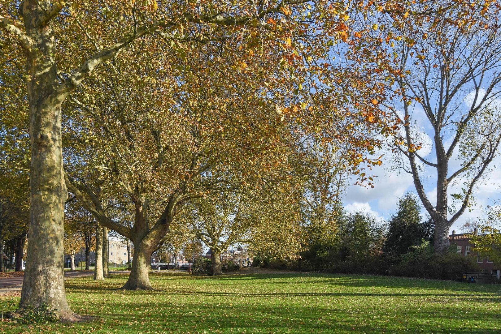 Kantoorgracht 74 G, Delft foto-62