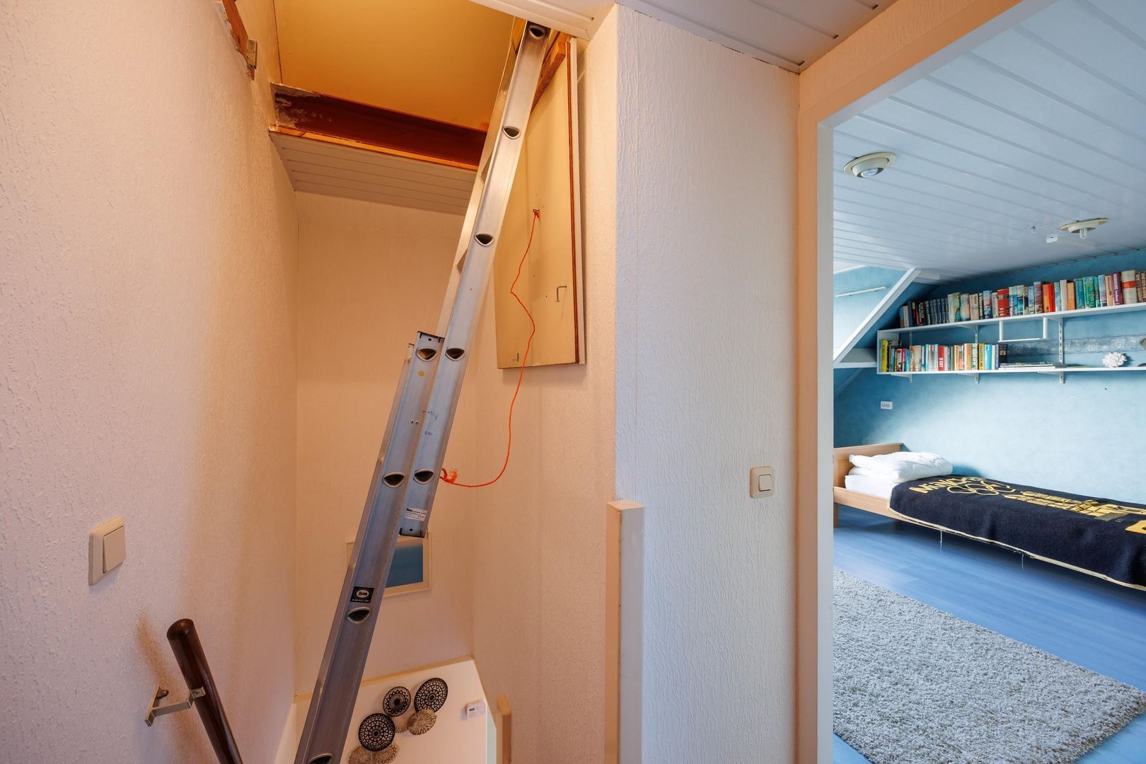 Tripolipad 6, Delft foto-25