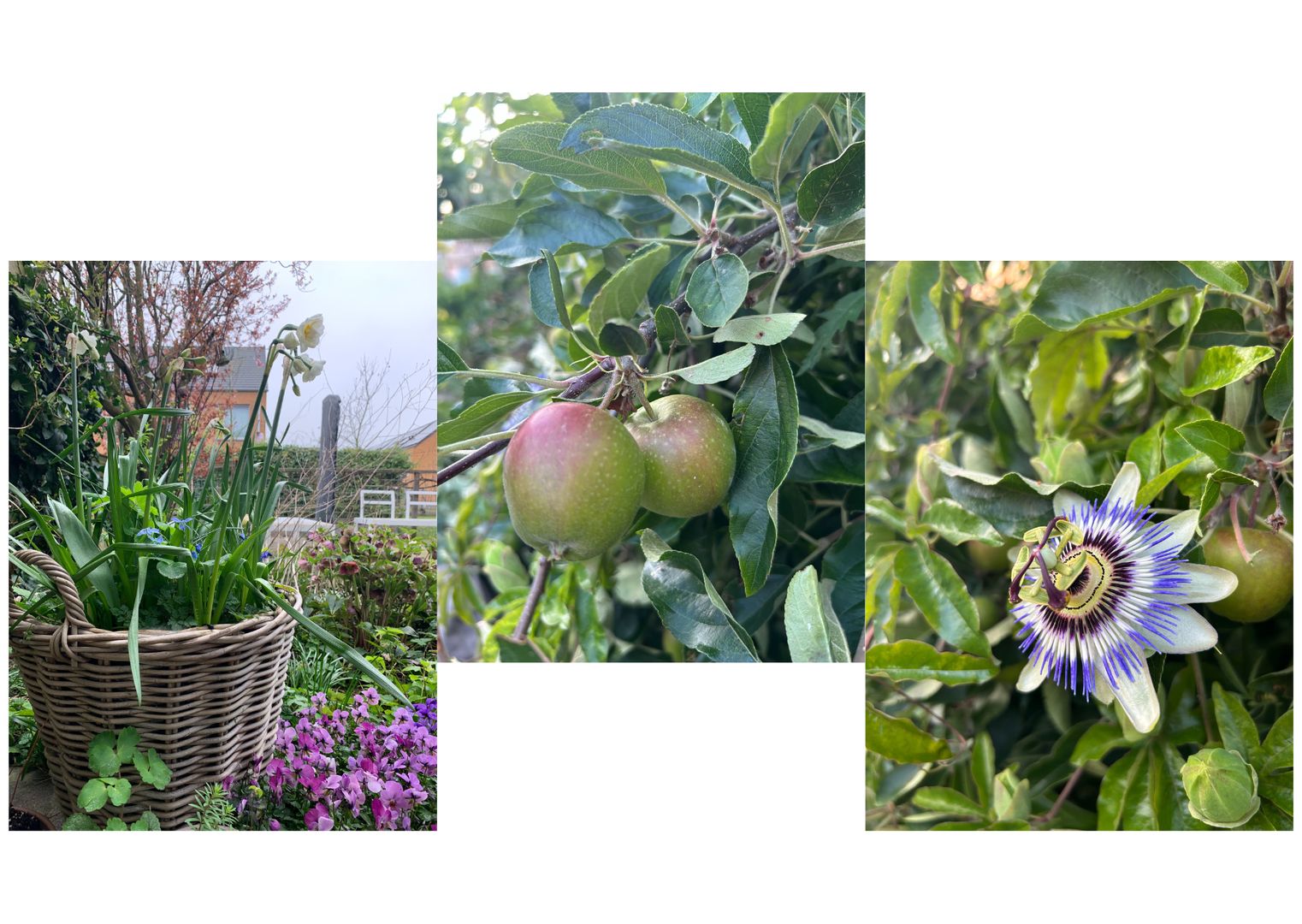 Hof van Aquamarijn 7, Delft foto-20