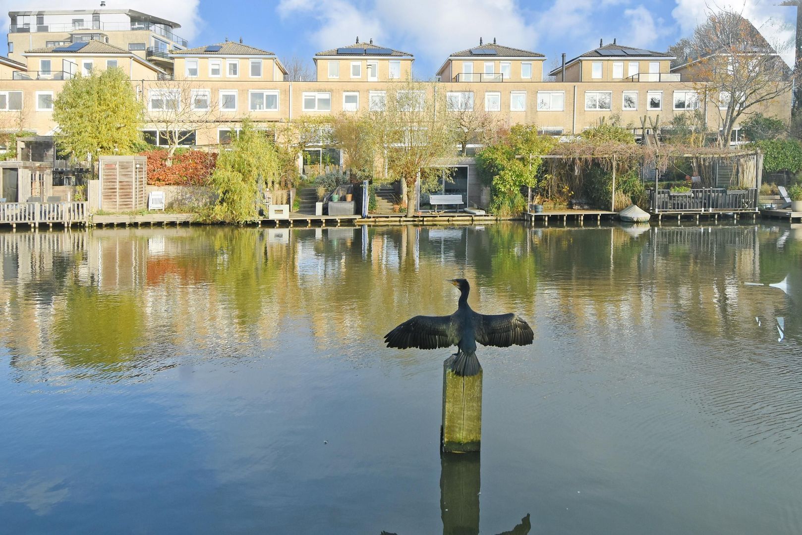 Glaskloksingel 59, Delft foto-18