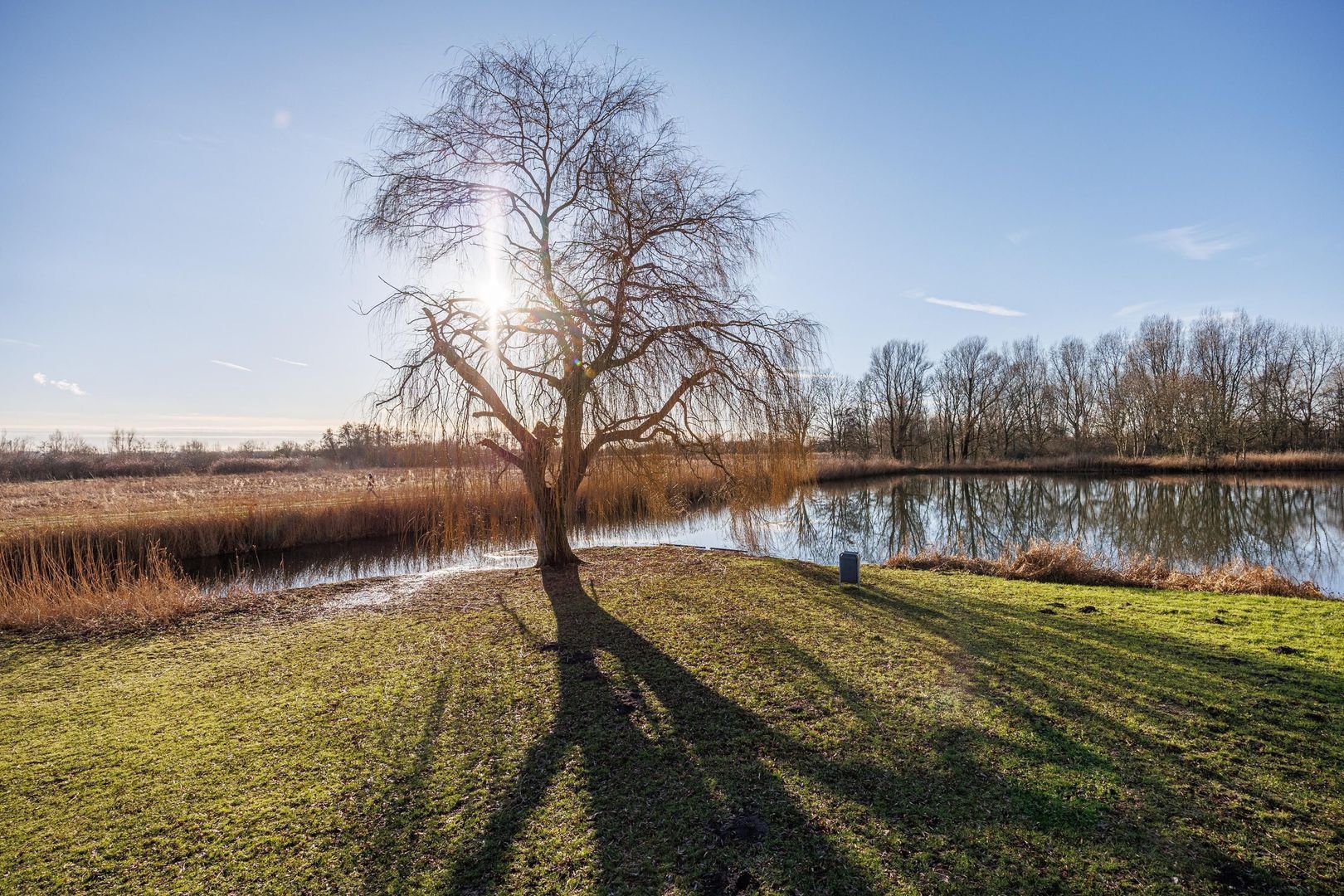 Aziëlaan 276, Delft foto-45