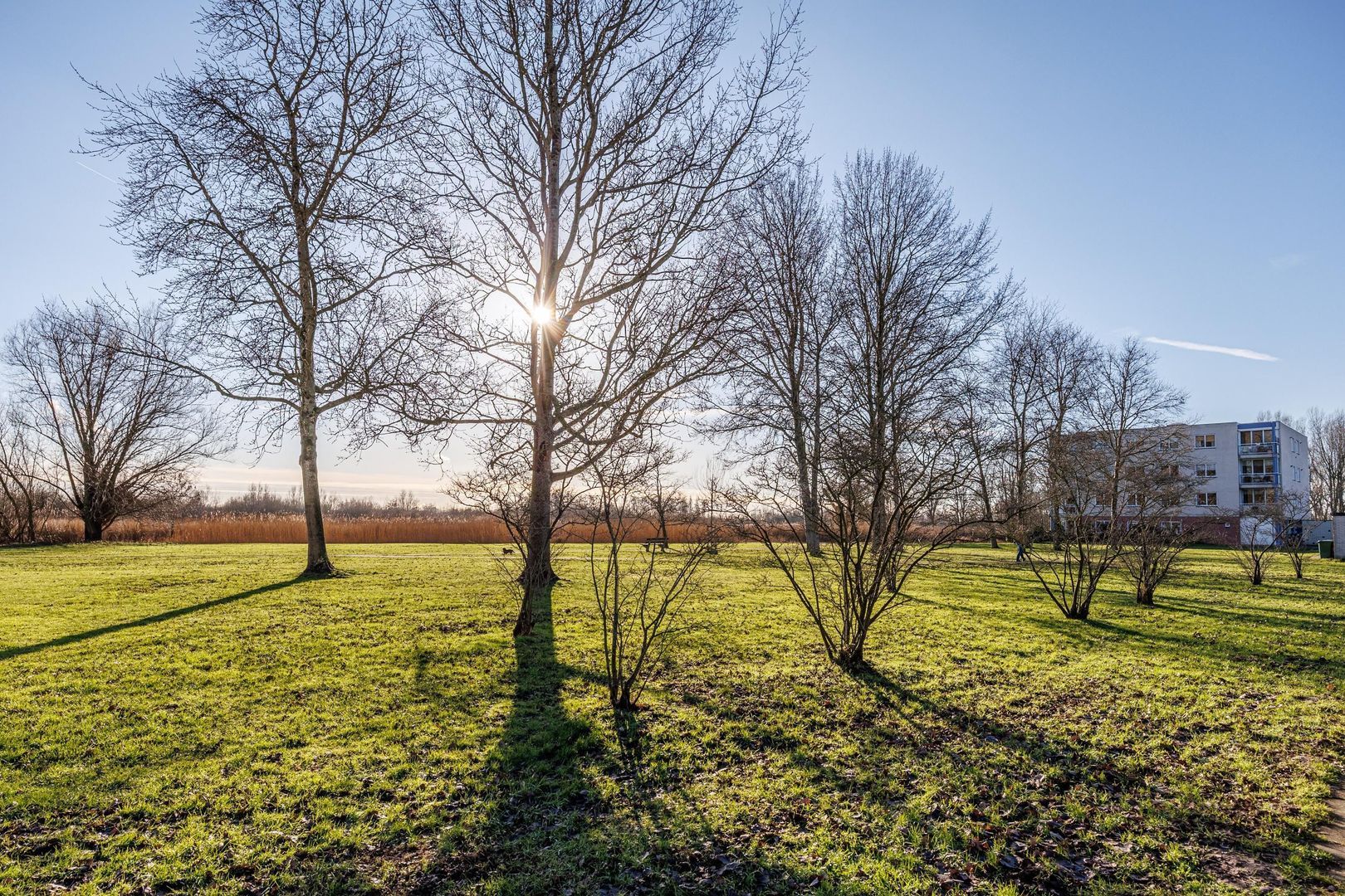 Aziëlaan 276, Delft foto-42