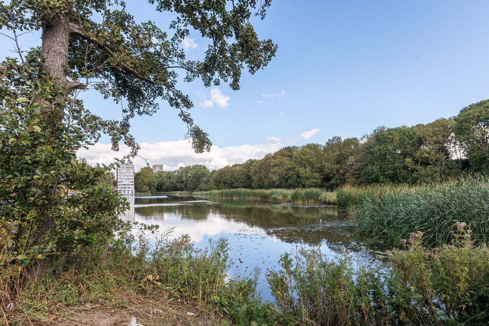 Van Moorselplantsoen 18, Delft foto-40