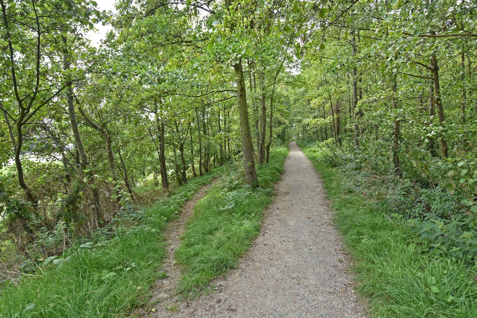 Voordijkshoorn 111, Den Hoorn foto-33