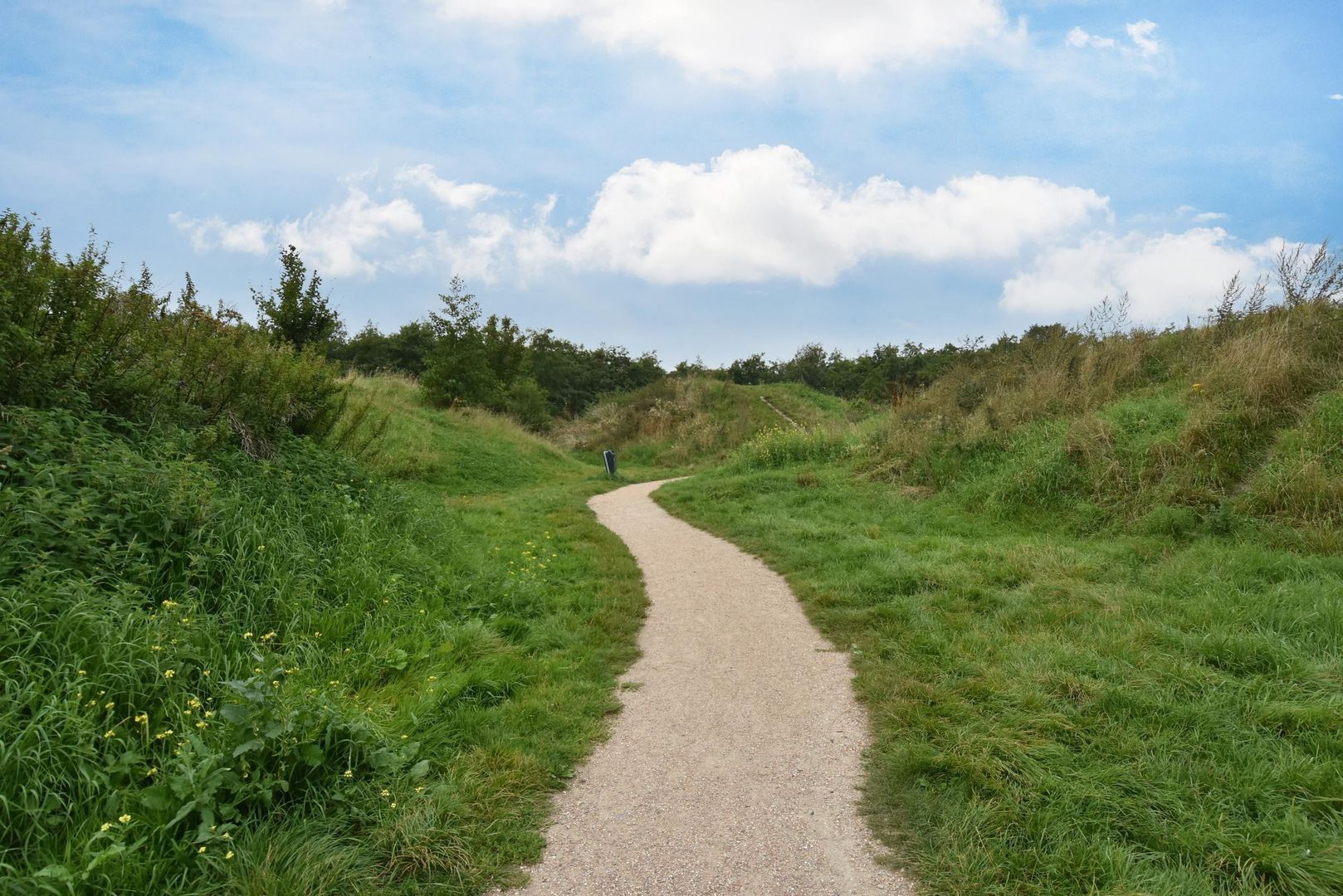 Voordijkshoorn 111, Den Hoorn foto-34