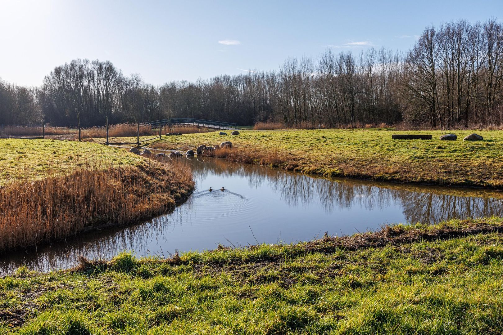 Leeuweriklaan 14, Delft foto-38