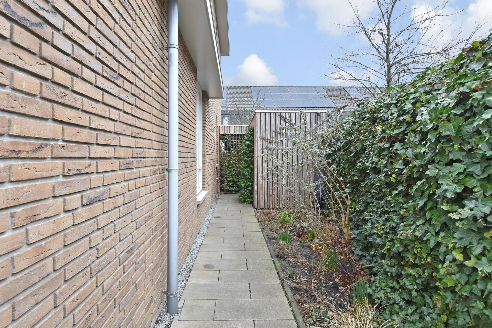 Jasmijn 78, Rijswijk foto-31