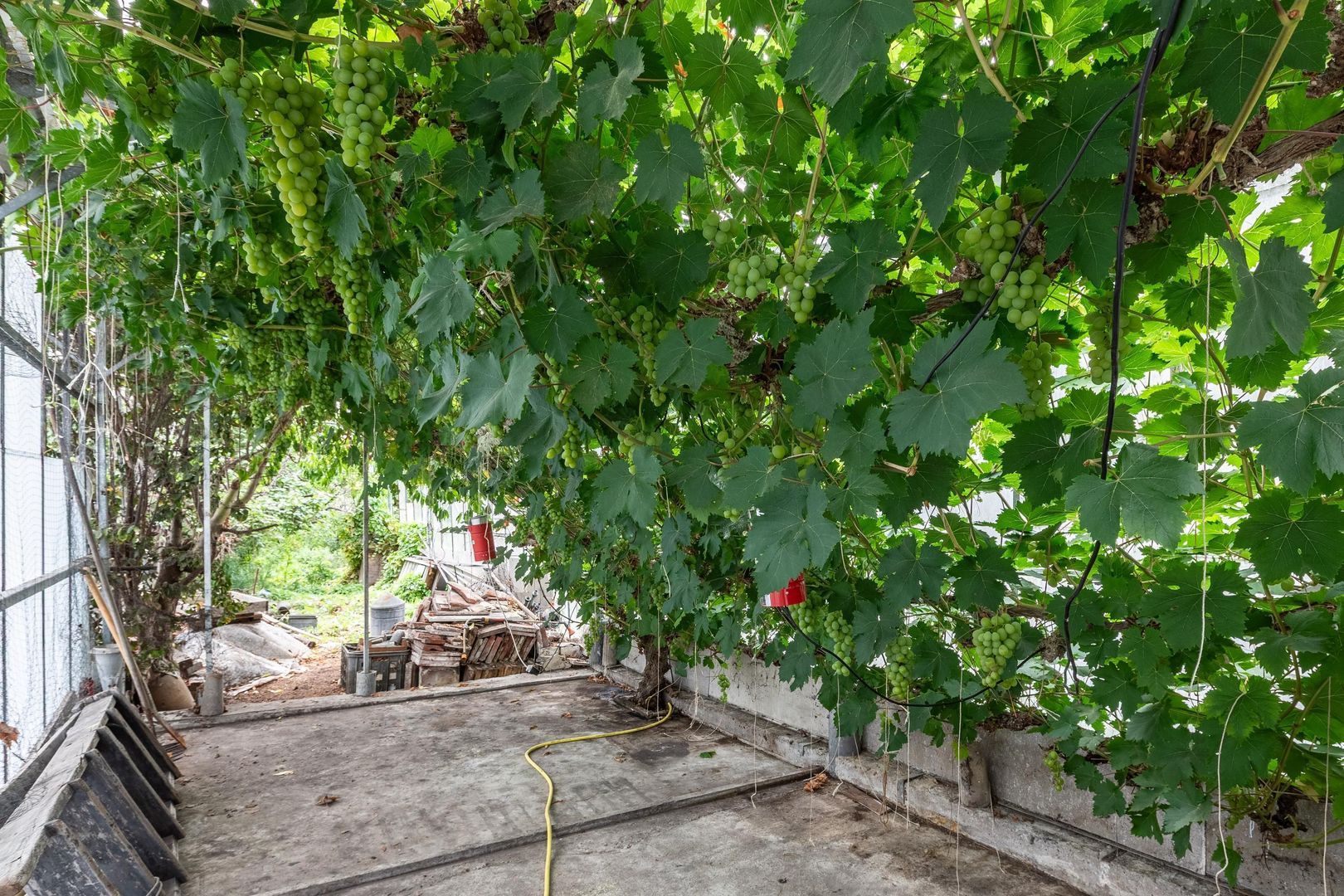 Oudeweg 78, Nootdorp foto-47