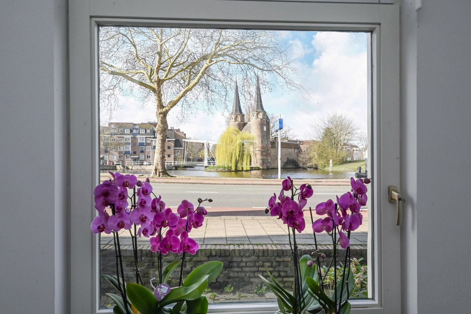 Oostsingel 4, Delft foto-24