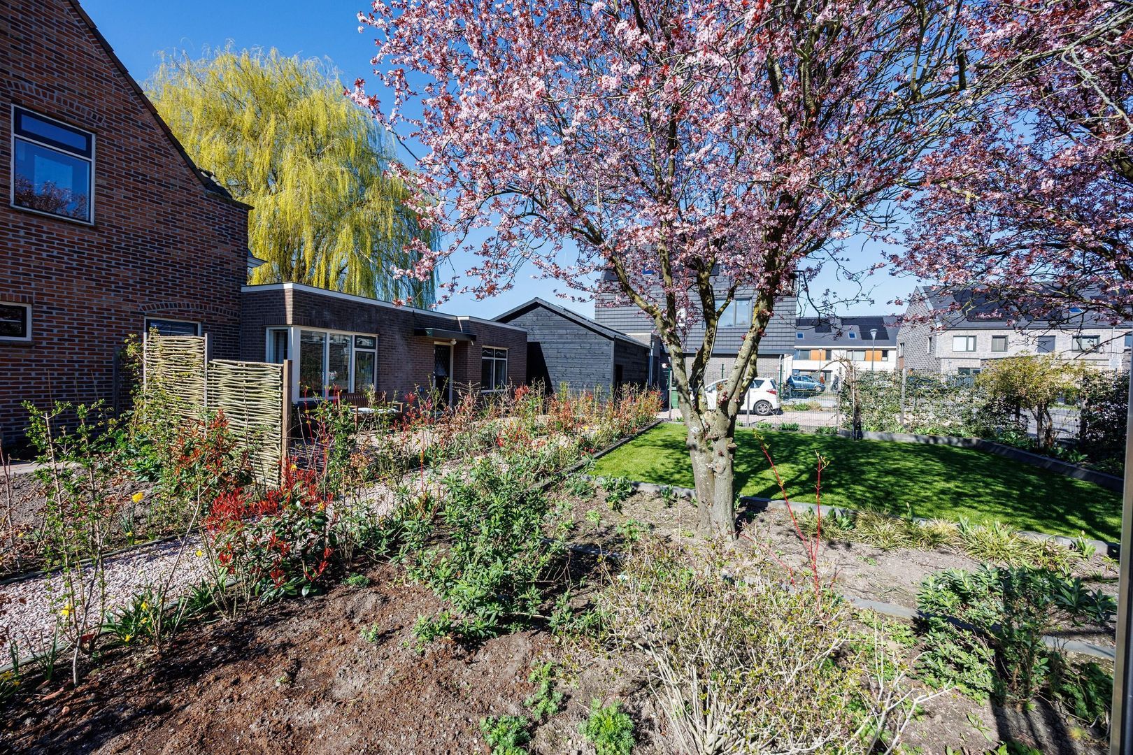 Knoopkruid 54, Rijswijk foto-9