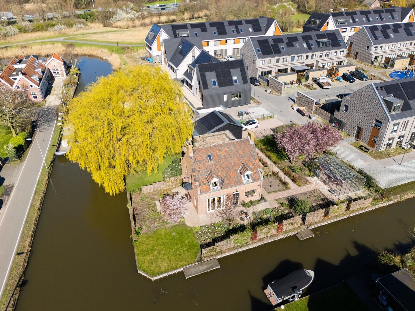Knoopkruid 54, Rijswijk foto-1