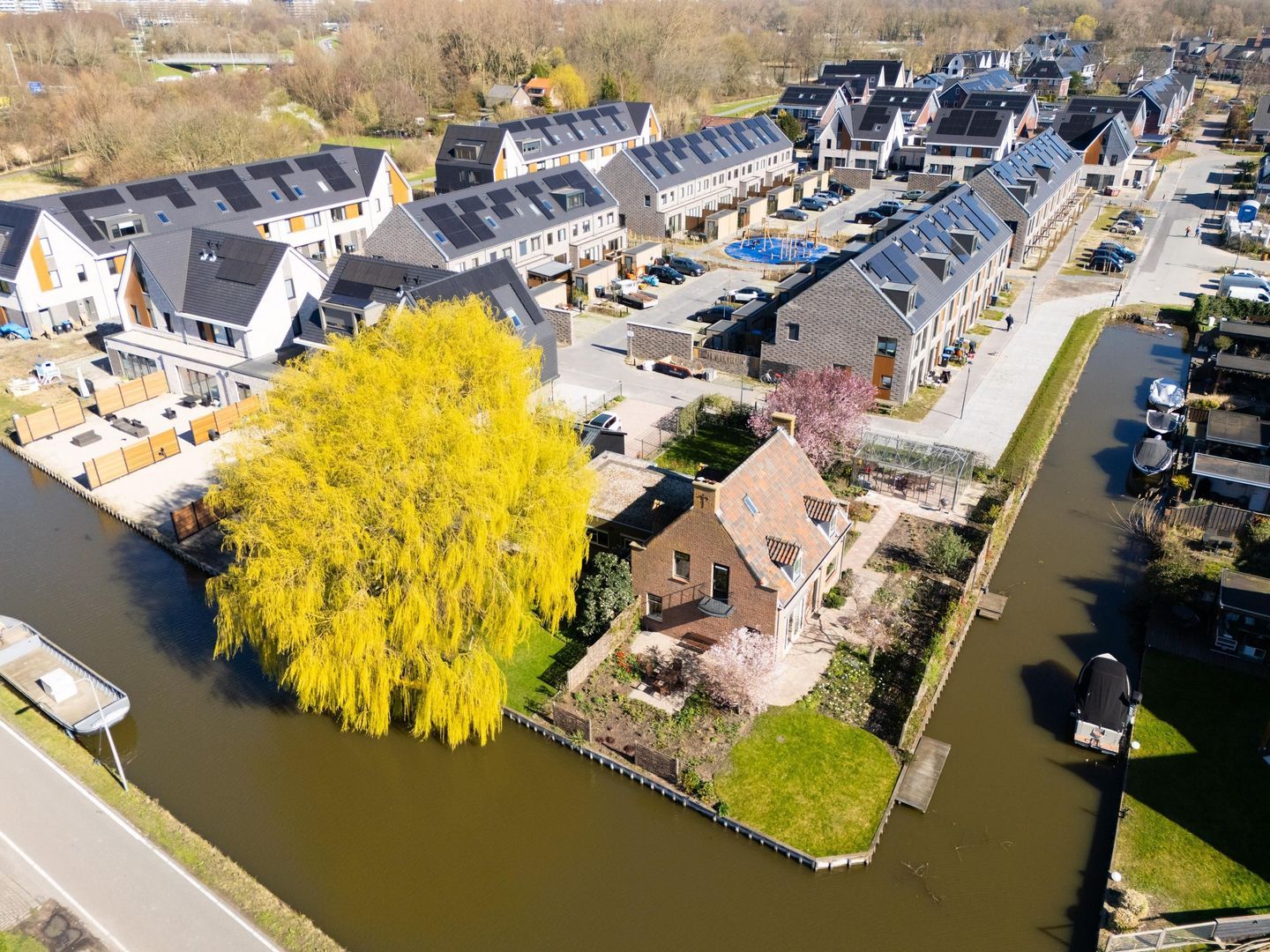Knoopkruid 54, Rijswijk foto-72