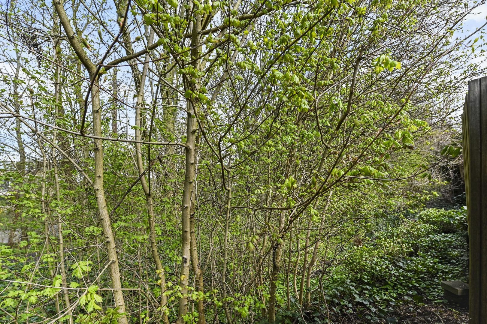 Raad van Europalaan 39, Delft foto-11