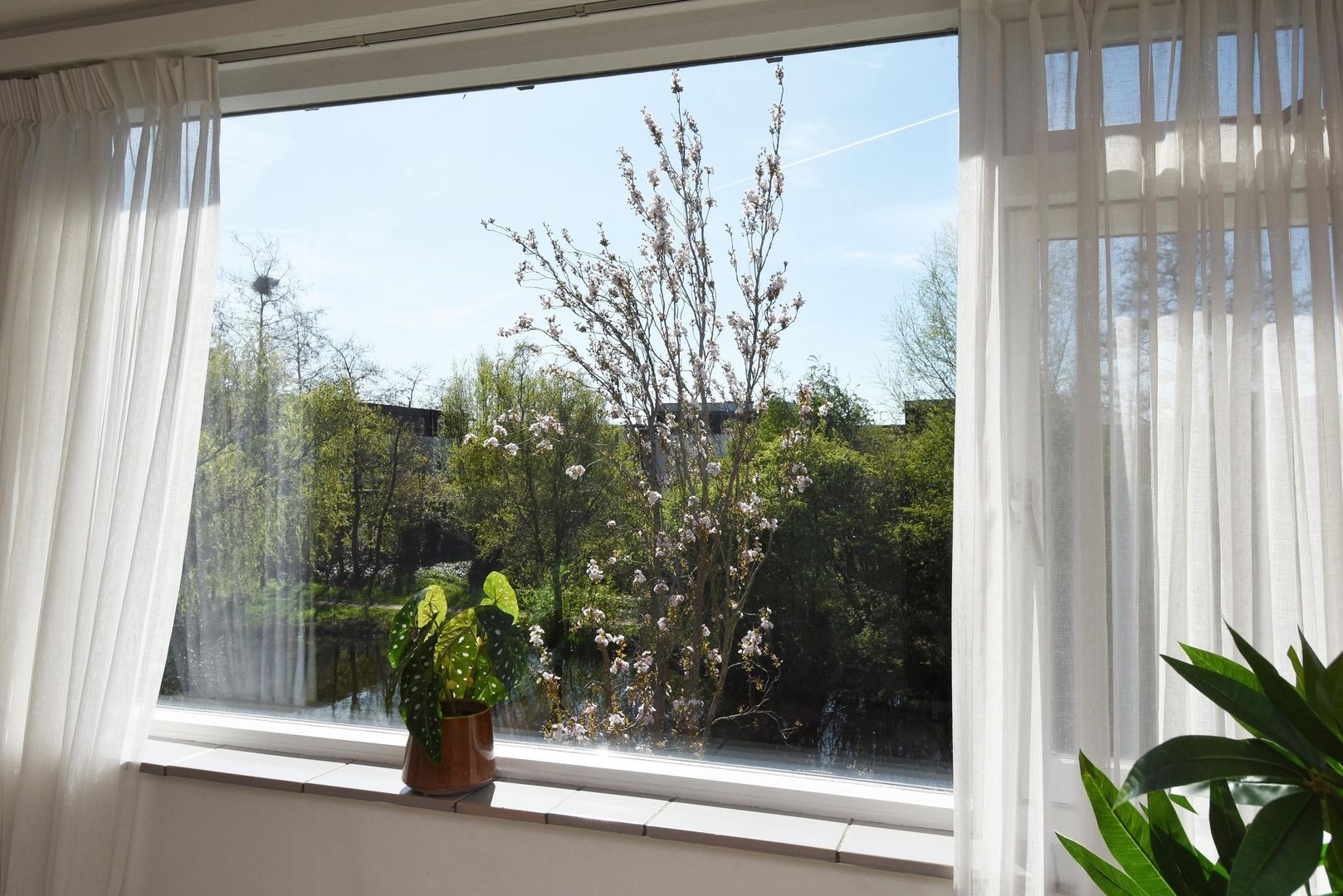 Grabijnhof 21, Delft foto-28